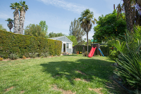 Enlarge photo 54