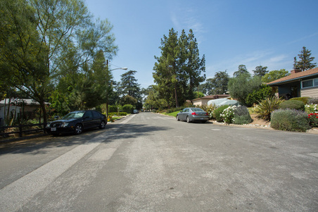 Enlarge photo 75
