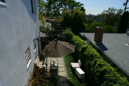 Enlarge photo 67