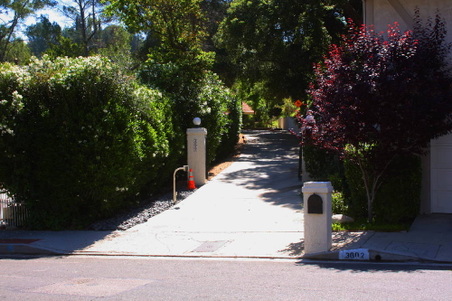 Enlarge photo 45