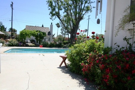 Enlarge photo 7