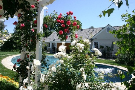 Enlarge photo 40