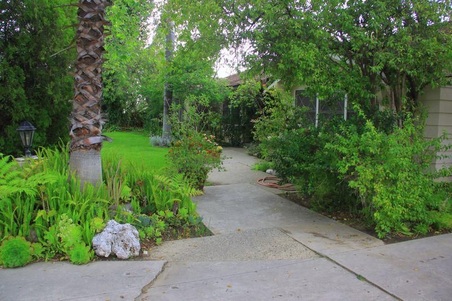 Enlarge photo 5