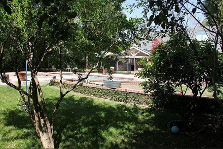 Enlarge photo 25