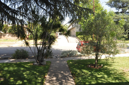 Enlarge photo 8