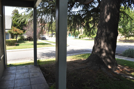Enlarge photo 10