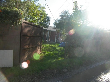 Enlarge photo 49