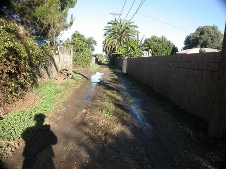 Enlarge photo 50
