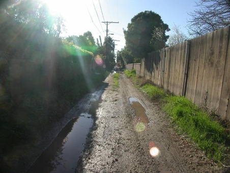 Enlarge photo 51