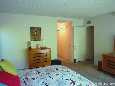 Enlarge photo 46