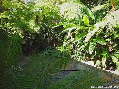 Enlarge photo 61