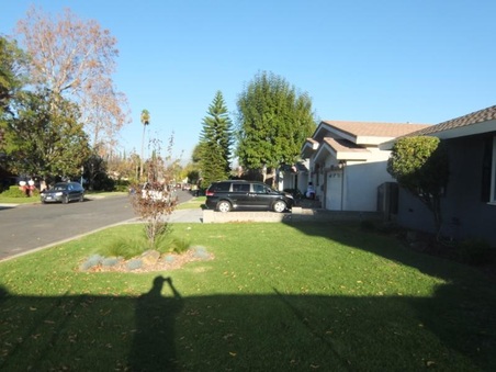 Enlarge photo 4