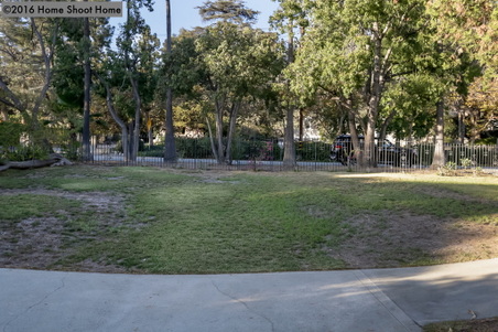 Enlarge photo 46