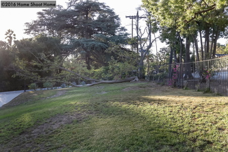 Enlarge photo 49