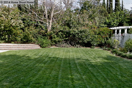 Enlarge photo 49