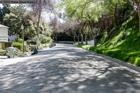 Enlarge photo 54