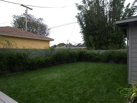Enlarge photo 42