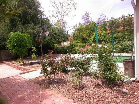 Enlarge photo 41
