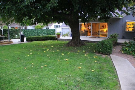 Enlarge photo 28