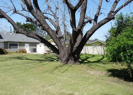 Enlarge photo 44