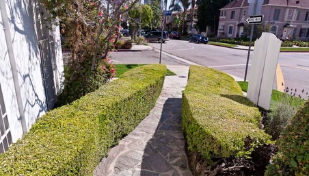 Enlarge photo 38