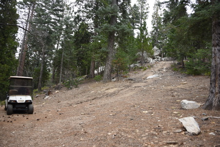 Rock Pile Alpine