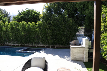 Enlarge photo 28