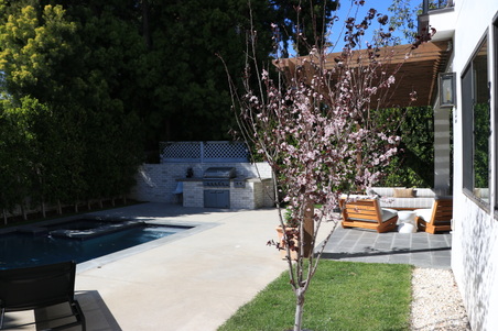 Enlarge photo 36