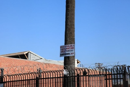 Enlarge photo 62