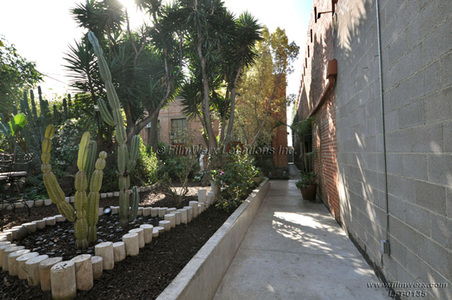 Enlarge photo 41