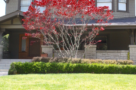 Enlarge photo 2