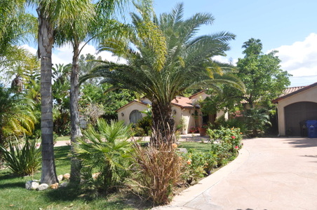 Enlarge photo 8