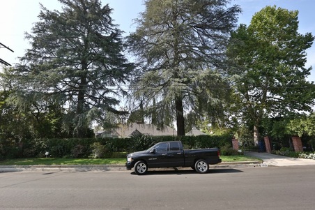 Enlarge photo 3