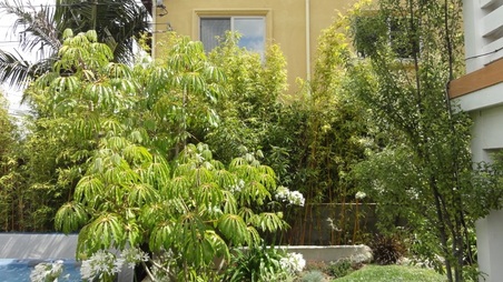 Enlarge photo 81