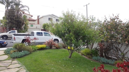 Enlarge photo 86