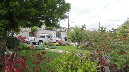 Enlarge photo 113