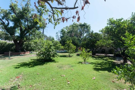 Enlarge photo 56