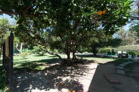 Enlarge photo 68