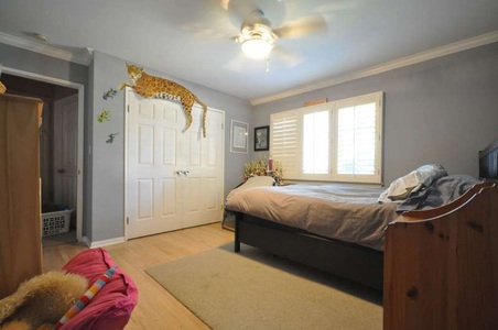 Enlarge photo 40