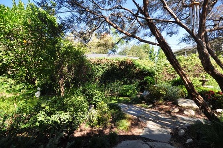 Enlarge photo 59
