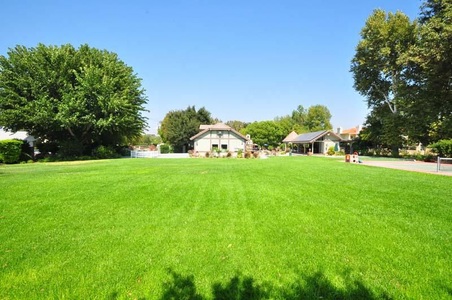 Enlarge photo 54