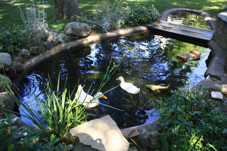 Enlarge photo 51