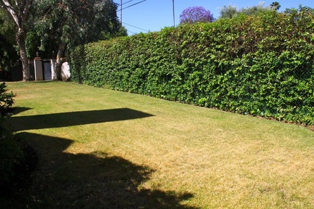 Enlarge photo 63