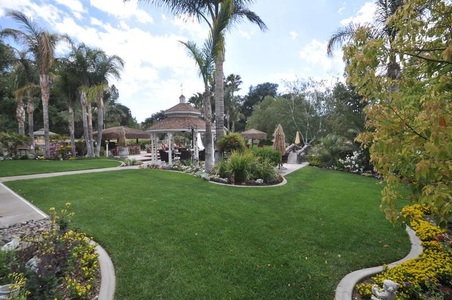 Enlarge photo 61