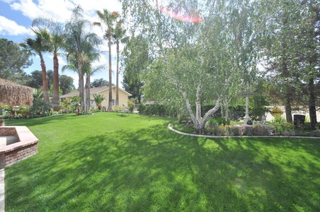 Enlarge photo 81
