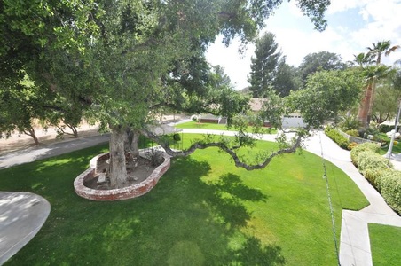 Enlarge photo 98