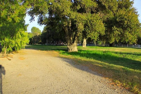 Enlarge photo 112