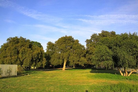 Enlarge photo 114