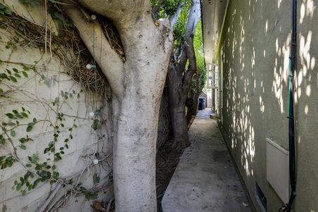 Enlarge photo 87