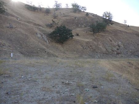 Enlarge photo 154